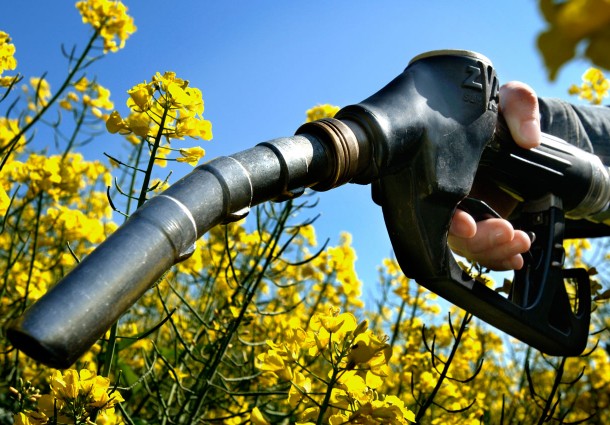 Biocombustibili