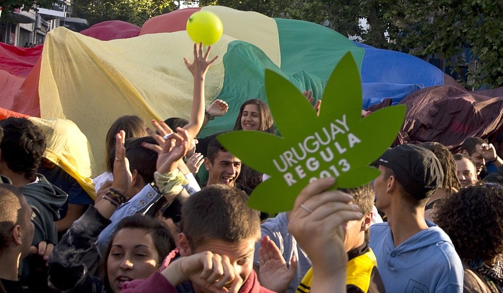 Uruguay Marijuana