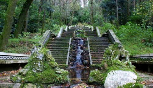 foresta di Bussaco