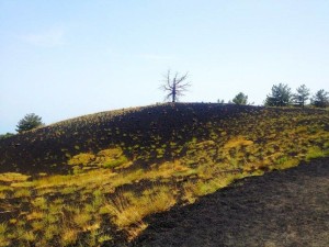 Etna