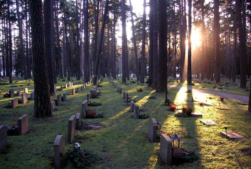 Il cimitero del bosco