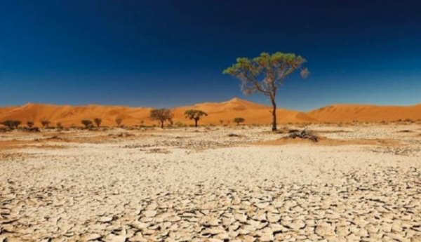 cambiamento climatico Fao