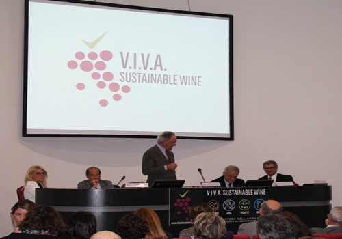 viva sustainable wine