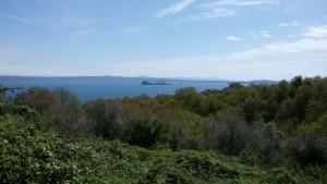 Panorama del Lago di Bolzena