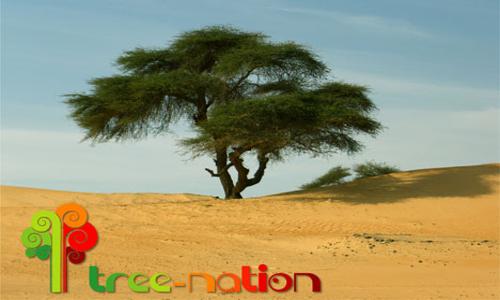 tree nation