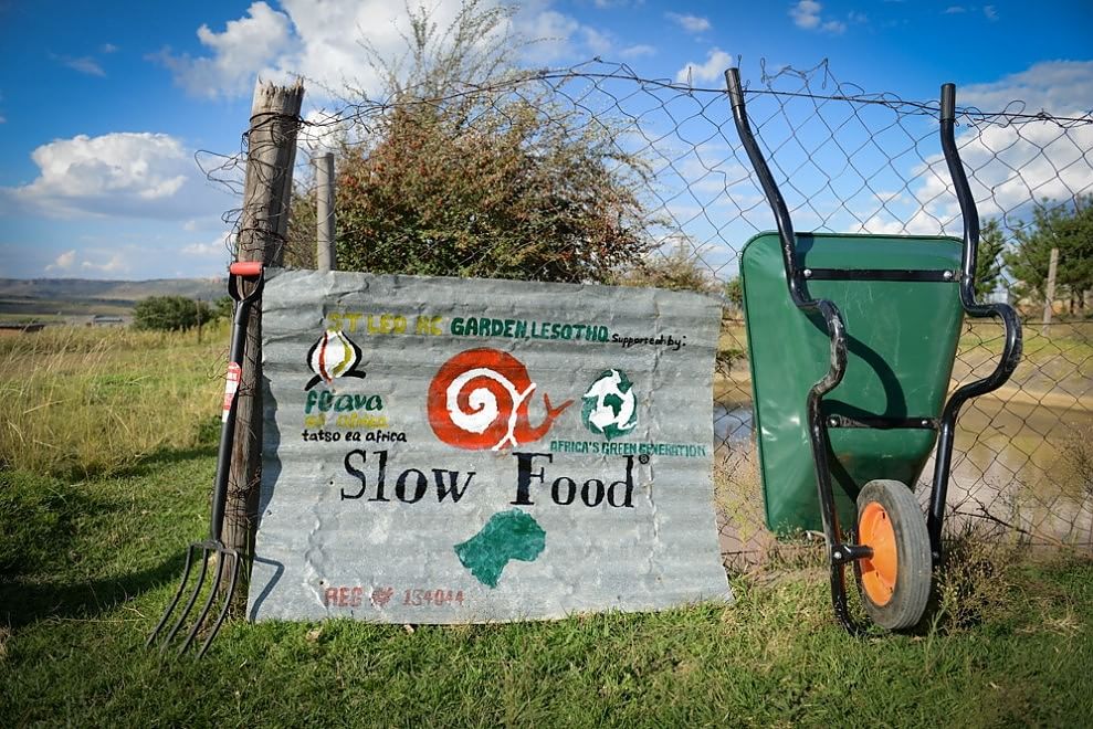 slow food allarme terra