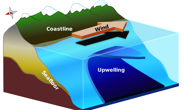 upwelling