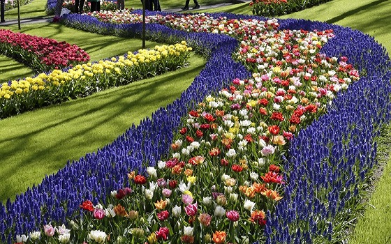 Keukenhof