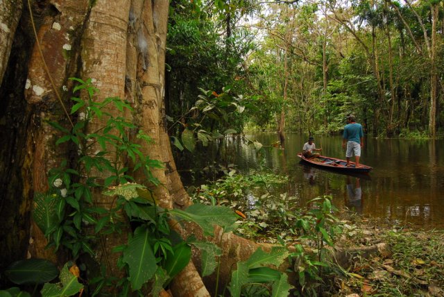 Amazzonia censimento