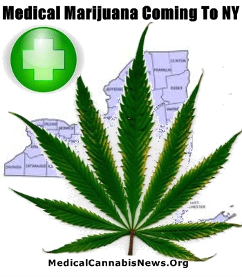 marijuana, cannabis legale