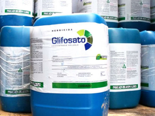 glifosato