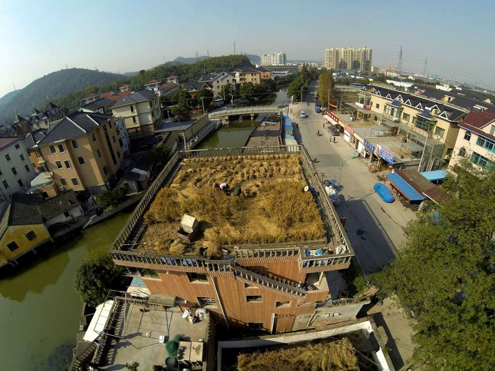risaie sui tetti in Cina