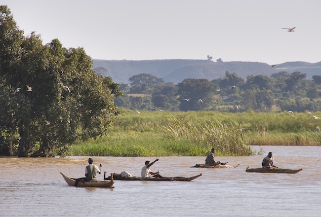 lago tana