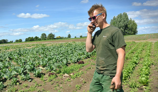 perito agrario agricoltura