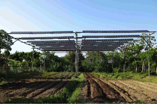 agrofotovoltaico