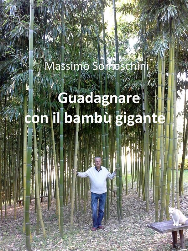 Guadagnare con il bambù