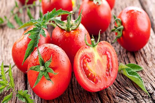 Tomato Revolution da Altromercato