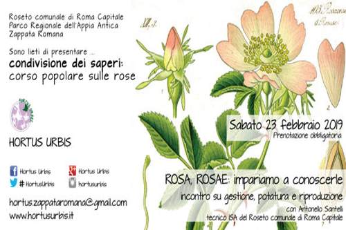 Rose, un corso all'Hortus Urbis