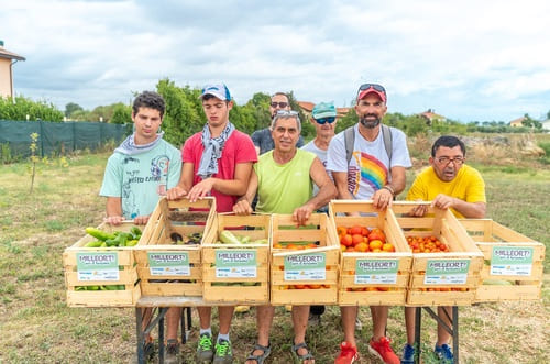 Mille Orti per il Turismo: 360 kg di verdure e un passo in più verso l’inclusione lavorativa