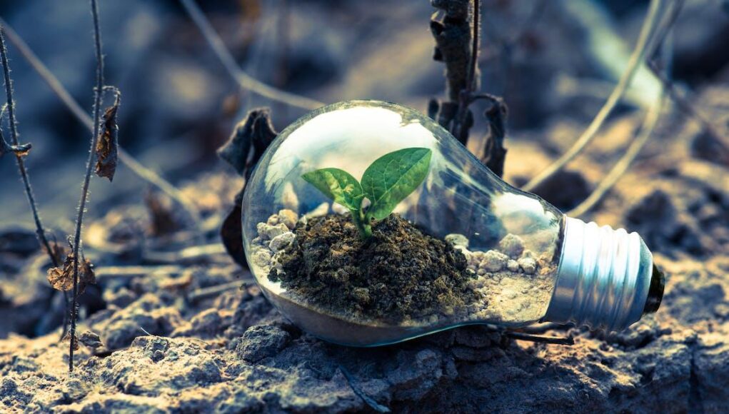 Il vocabolario della Green Economy: parole e obiettivi