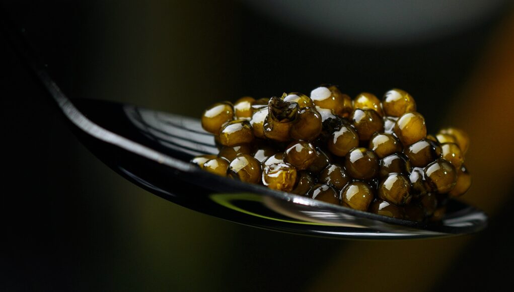 caviale L’Arte della degustazione secondo Caviar Giaveri