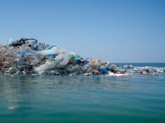 Mare Vivo e Zero Waste Italy: petizione su plastic tax Petizione contro la plastica